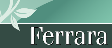 Ferrara Pro-Regular